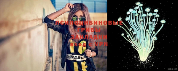 прущий лед Богородск