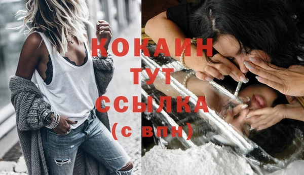 дурь Богородицк