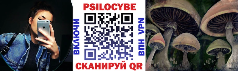 Купить закладки  Горнозаводск  Псилоцибиновые грибы мухоморы 
