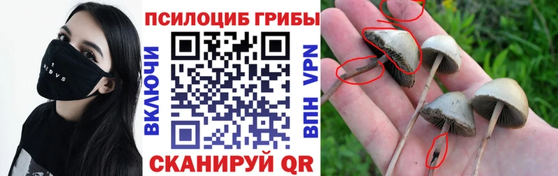 Псилоцибиновые грибы ЛСД Горнозаводск